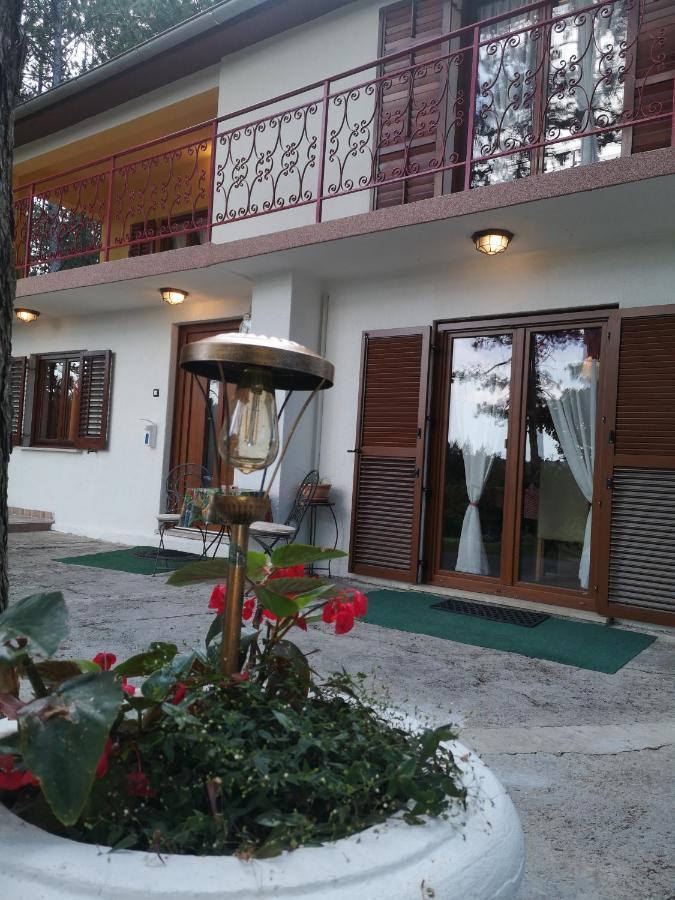 Pineta Vila Gračišče Exterior foto